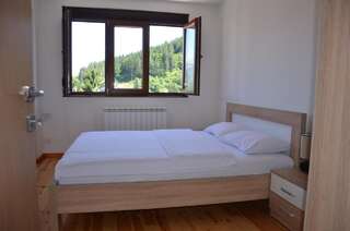 Апартаменты Apartments Gorska Колашин Апартаменты с 1 спальней-2