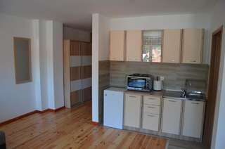 Апартаменты Apartments Gorska Колашин Номер-студио-1